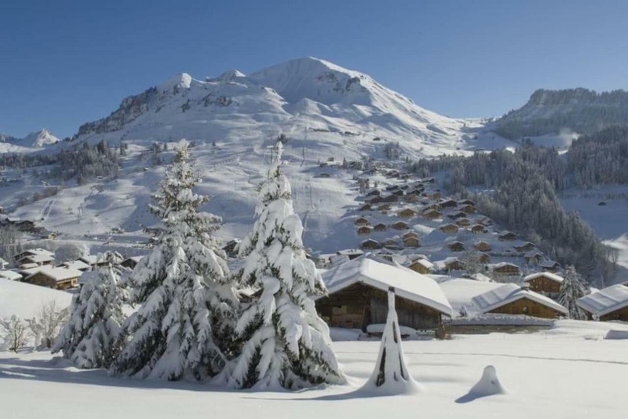 Bel Appartement Avec Vue Exceptionnelle Le Grand-Bornand Exterior foto