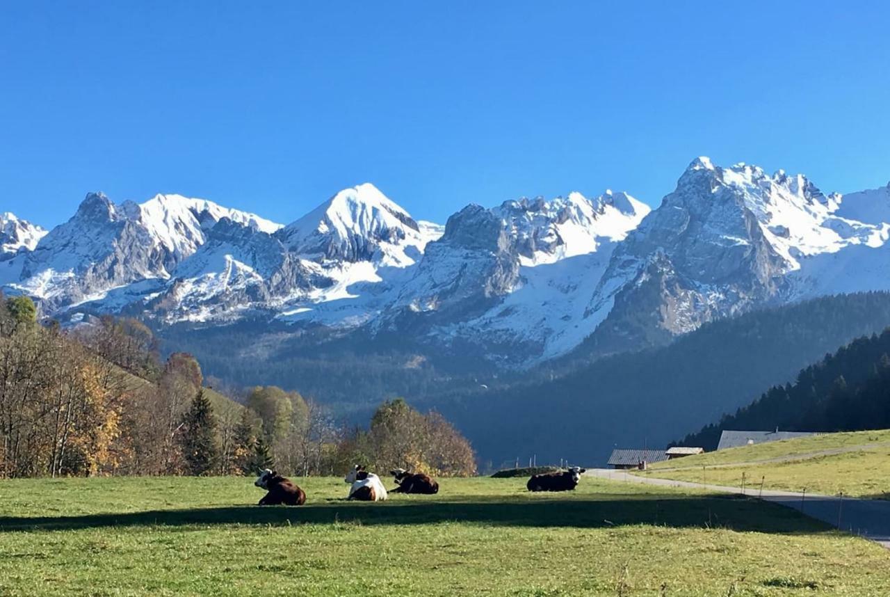 Bel Appartement Avec Vue Exceptionnelle Le Grand-Bornand Exterior foto